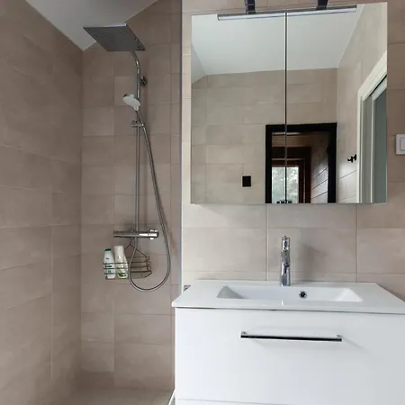 Brand New House With Four Bedrooms, Parking, Sauna, Patio *